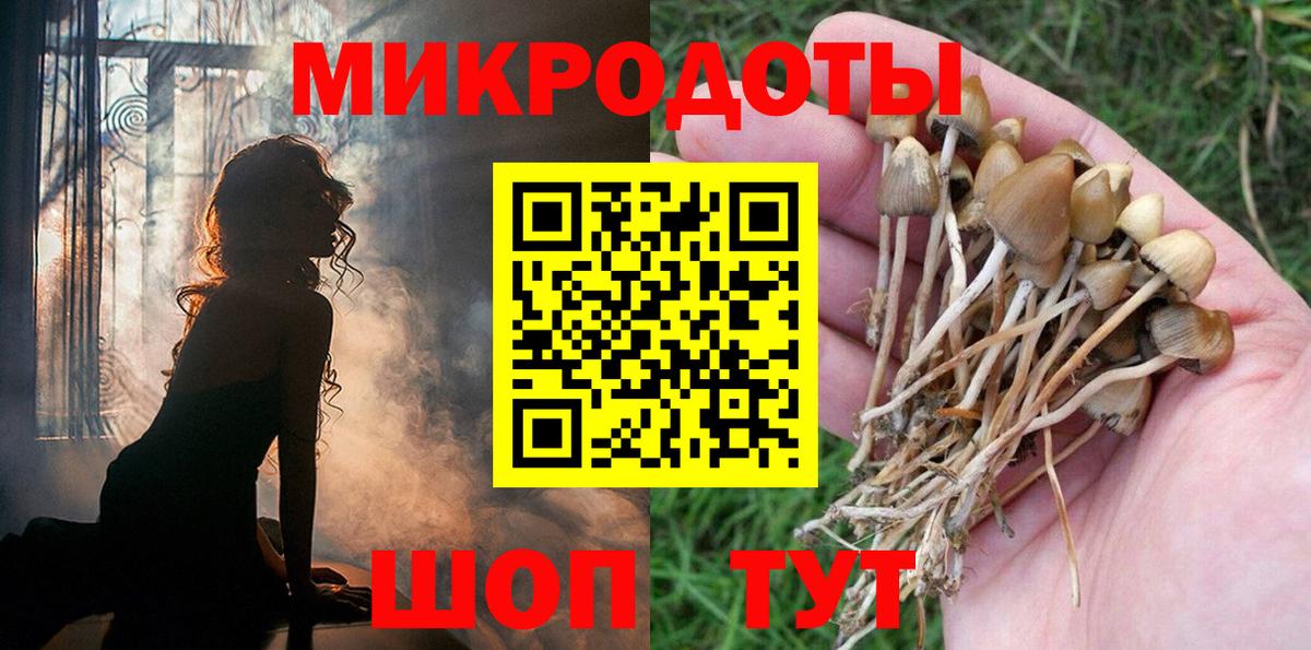Галлюциногенные грибы мухоморы Северобайкальск