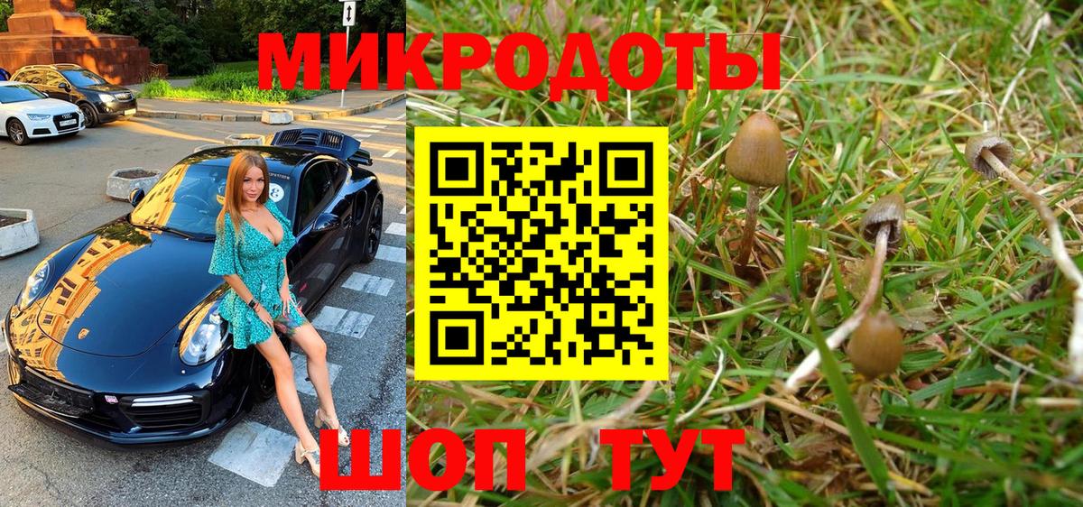 где можно купить наркотик  Вход с VPN  Северобайкальск  Галлюциногенные грибы Magic Shrooms 